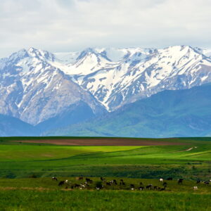 Тур в Аксу-Жабагылы