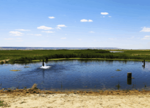 Двухдневный тур в Карагие, Онере, Карынжарык, Утебай Двухдневный тур в Карагие, Онере, Карынжарык, Утебай