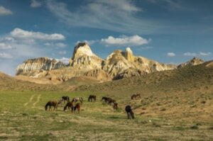 Двухдневный тур в Торыш (Долина шаров), Коккала, Шеркала, Айракты Шоманай (Долина Замков), этноаул «Когез», Кызылкуп (холмы «Тирамису»), Бозжыра Двухдневный тур в Торыш (Долина шаров), Коккала, Шеркала, Айракты Шоманай (Долина Замков), этноаул «Когез», Кызылкуп (холмы «Тирамису»), Бозжыра