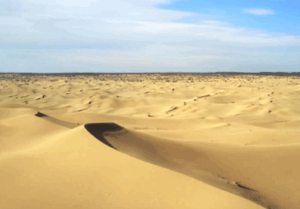 Двухдневный тур в впадину "Карагие", пески Туесу, Бозжыра, Гору Бокты, Кызылкуп (Тирамису)