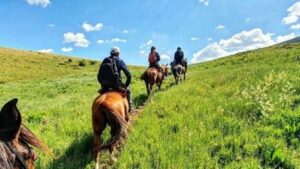 Двухдневный тур в Тараз