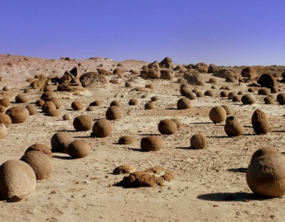 Главная страница