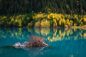 Однодневная экскурсия на горное озеро Иссык