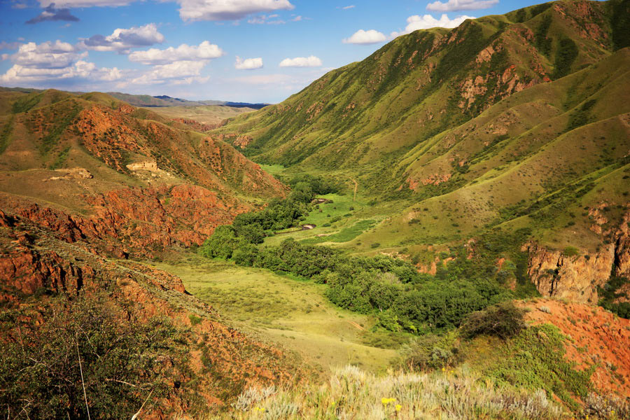 tyan-shan